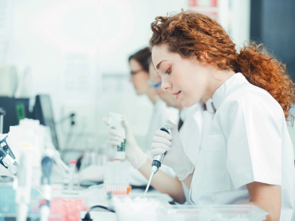 申请OEKO-TEX证书的费用是多少？