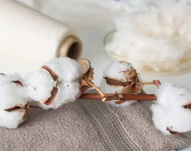 全球有机纺织品标准GOTS 6.0版新增GMO转基因测试要求，海恩斯坦已获测试资质